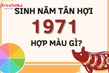 Sinh năm 1971 hợp màu gì? Bí quyết chọn màu phong thủy cho Tân Hợi