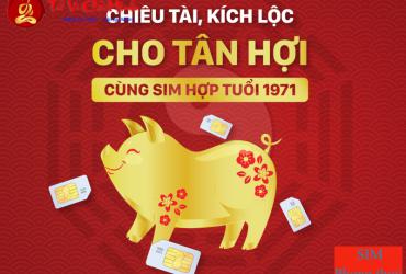 Bí Mật Phong Thủy: Sinh Năm 1971 Hợp Số Nào Để Tài Lộc Đầy Nhà?