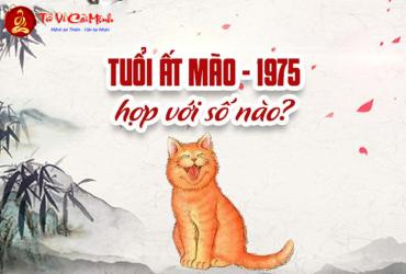 Khám Phá Con Số Bí Mật Và Sim Phong Thủy Giúp Tuổi Ất Mão 1975 Phát Tài!