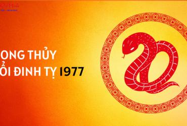 Sinh năm 1977 hợp hướng nào?