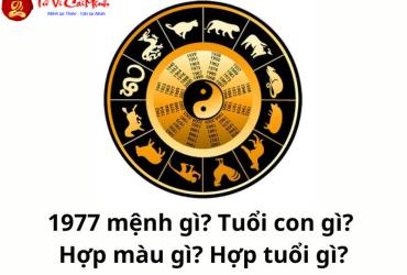 Sinh năm 1977 mệnh gì? Chi tiết về Sa Trung Thổ và vận mệnh tuổi Đinh Tỵ