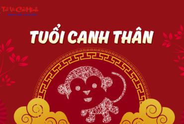 Hướng Bàn Làm Việc Cho Người Sinh Năm 1980: Phong Thủy Tối Ưu Cho Sự Nghiệp Thành Công