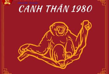 Sinh năm 1980 mua xe màu gì? Lựa chọn màu xe phong thủy cho tuổi Canh Thân