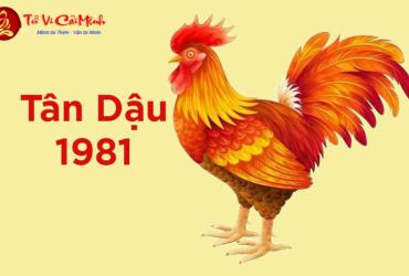 Sinh Năm 1981 Hợp Số Mấy? Giải Mã Sim Phong Thủy Hút Tài Lộc Cho Tuổi Tân Dậu