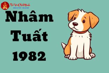 Sinh năm 1982 mệnh gì? Khám phá đầy đủ về người tuổi Nhâm Tuất