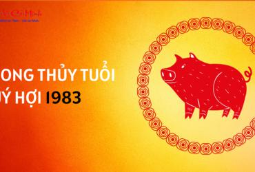 Sinh năm 1983 hợp màu gì? - Phân tích chi tiết màu sắc phong thủy cho tuổi Quý Hợi