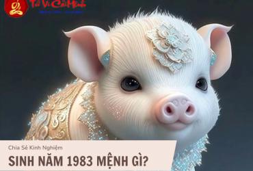 Sinh năm 1983 mệnh gì? Giải đáp toàn diện về mệnh Đại Hải Thủy tuổi Quý Hợi