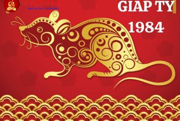 Sinh năm 1984 mua xe màu gì? Phân tích toàn diện theo phong thủy