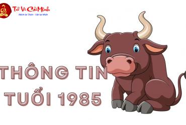 Khám Phá Hướng Kê Giường Ngủ Hợp Phong Thủy Cho Tuổi Ất Sửu 1985 Để Hút Tài Lộc Và Cải Thiện Sức Khỏe