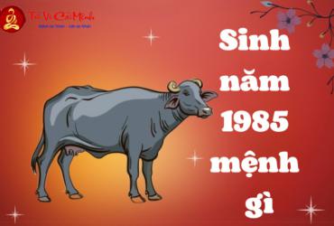 Sinh năm 1985 mệnh gì? Khám phá bản mệnh Hải Trung Kim của tuổi Ất Sửu