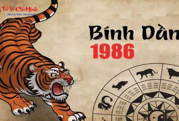 Hướng bàn làm việc cho người sinh năm 1986 (Bính Dần) hợp phong thủy