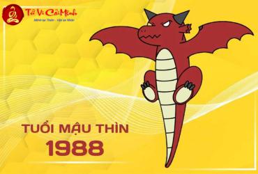 Người Sinh Năm 1988 Nhất Định Phải Biết: Con Số Hợp Mệnh Và Bí Quyết Chọn Sim Phong Thủy Kích Tài Lộc