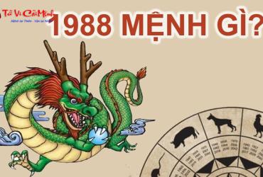Sinh năm 1988 mệnh gì? Giải mã toàn diện vận mệnh tuổi Mậu Thìn