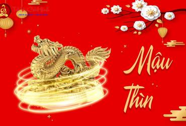 Sinh năm 1988 hợp màu gì? Bảng màu phong thủy đầy đủ cho tuổi Mậu Thìn