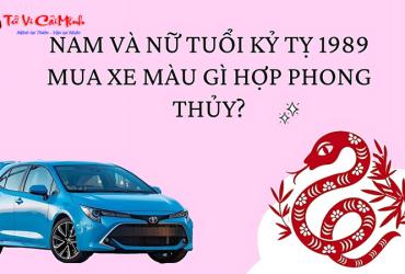 Sinh năm 1989 mua xe màu gì? Giải mã bí ẩn phong thủy