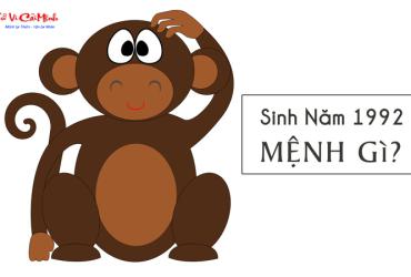 Sinh năm 1992 mệnh gì? Khám phá đầy đủ vận mệnh tuổi Nhâm Thân Kiếm Phong Kim