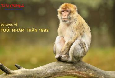 Sinh năm 1992 mua xe màu gì? - Hướng dẫn chi tiết theo phong thủy