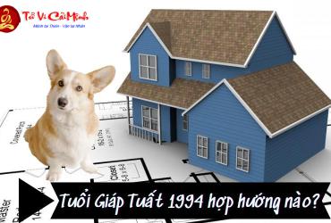 Sinh năm 1994 hợp hướng nào? - Phân tích chi tiết theo phong thủy