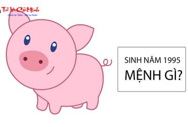 Sinh năm 1995 mệnh gì? Khám phá bản mệnh tuổi Ất Hợi và vận mệnh cuộc đời