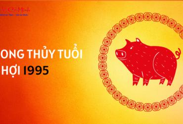 Sinh năm 1995 hợp màu gì? Giải mã phong thủy màu sắc tuổi Ất Hợi mệnh Sơn Đầu Hỏa