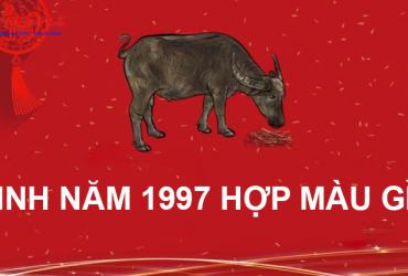 Sinh năm 1997 hợp màu gì? Bật mí màu sắc mang lại may mắn cho tuổi Đinh Sửu