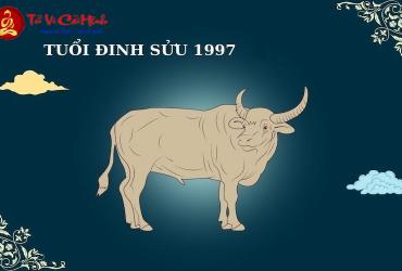 Sinh năm 1997 mua xe màu gì? - Phong thủy xe hơi cho tuổi Đinh Sửu