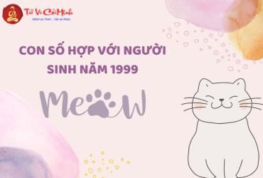 Sinh Năm 1999? Khám Phá Con Số May Mắn Và Bí Quyết Chọn Sim Phong Thủy Để Đổi Vận