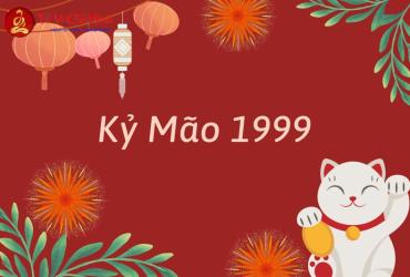 Sinh năm 1999 mua xe màu gì? Màu xe phong thủy cho tuổi Kỷ Mão