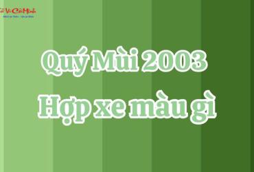 Sinh năm 2003 mua xe màu gì? - Lựa chọn màu xe phong thủy hợp tuổi Quý Mùi