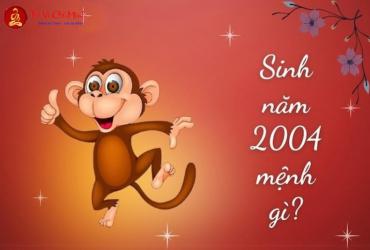 Sinh năm 2004 mệnh gì? - Giải đáp toàn diện về mệnh tuổi Giáp Thân