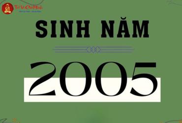 Sinh năm 2005 hợp hướng nào?