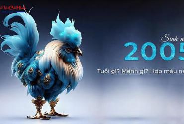 Sinh năm 2005 mệnh gì? Khám phá mệnh Tuyền Trung Thủy và bí quyết sống hòa hợp