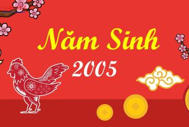 Sinh năm 2005 mua xe màu gì?