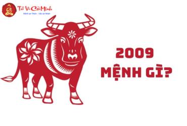 Sinh năm 2009 mệnh gì? Khám phá bản mệnh Tích Lịch Hỏa của tuổi Kỷ Sửu
