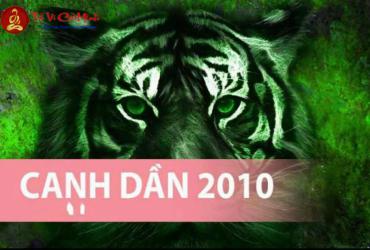 Sinh Năm 2010 Hợp Màu Gì? Chọn Màu Phong Thủy Để Thu Hút May Mắn