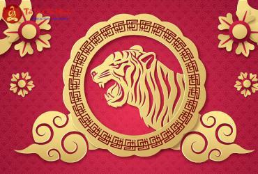 Sinh năm 2010 mệnh gì? Khám phá bí ẩn Canh Dần mệnh Tùng Bách Mộc