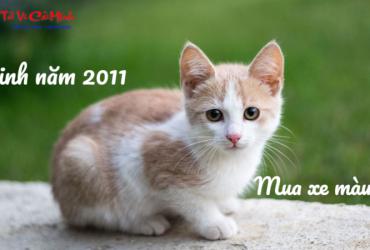 Sinh năm 2011 mua xe màu gì?
