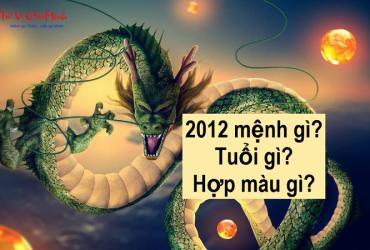Sinh năm 2012 mệnh gì? Khám phá đầy đủ vận mệnh tuổi Nhâm Thìn theo phong thủy