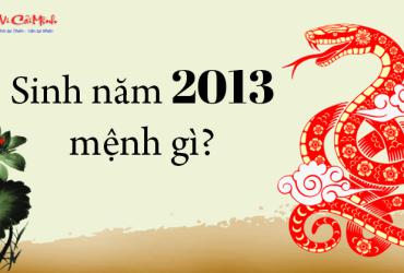 Tuổi Quý Tỵ 2013 – Khám Phá Mệnh Thủy Và Cách Tối Ưu Phong Thủy