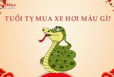 Sinh năm 2013 mua xe màu gì? Những màu xe mang lại may mắn và tài lộc