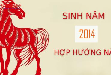 Sinh năm 2014 hợp hướng nào? - Phân tích toàn diện theo phong thủy