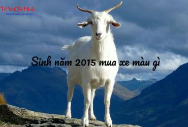 Sinh năm 2015 mua xe màu gì? Lựa chọn màu xe hợp phong thủy cho người tuổi Ất Mùi