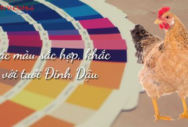 Sinh Năm 2017 Hợp Màu Gì? Chọn Màu May Mắn Giúp Cuộc Sống Thuận Lợi