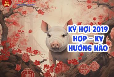 Sinh năm 2019 hợp hướng nào? Phân tích chi tiết theo phong thủy