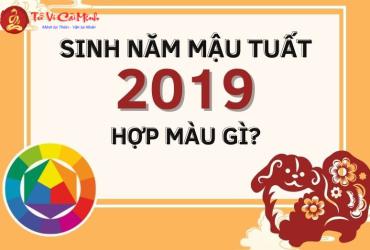 Sinh năm 2019 hợp màu gì? Bảng màu phong thủy theo mệnh Bình Địa Mộc