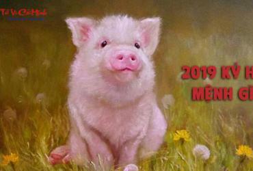Sinh năm 2019 mệnh gì? Khám phá vận mệnh tuổi Kỷ Hợi theo phong thủy