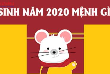 Sinh năm 2020 mệnh gì? Tìm hiểu Mệnh Thổ - Bích Thượng Thổ của tuổi Canh Tý