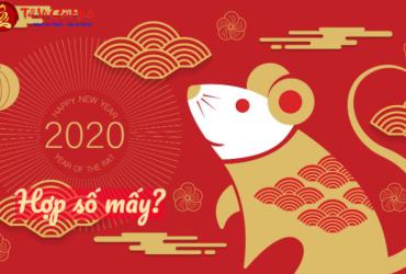 Sinh năm 2020 hợp số mấy? Sim phong thủy cho người sinh năm 2020