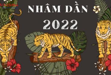 Sinh năm 2022 hợp số mấy? Sim phong thủy cho người sinh năm 2022