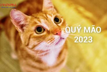 Sinh năm 2023 mua xe màu gì? - Phân tích phong thủy cho tuổi Quý Mão
